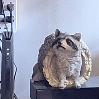 Design Toscano Bandit, The Raccoon Statue & Reviews | Wayfair